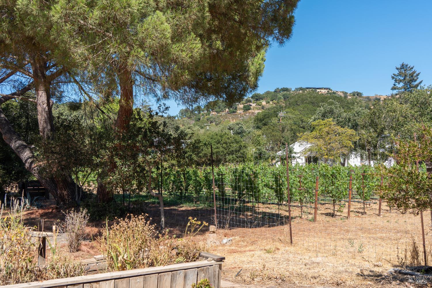 Detail Gallery Image 45 of 46 For 1795 Lovall Valley Rd, Sonoma,  CA 95476 - 3 Beds | 2 Baths