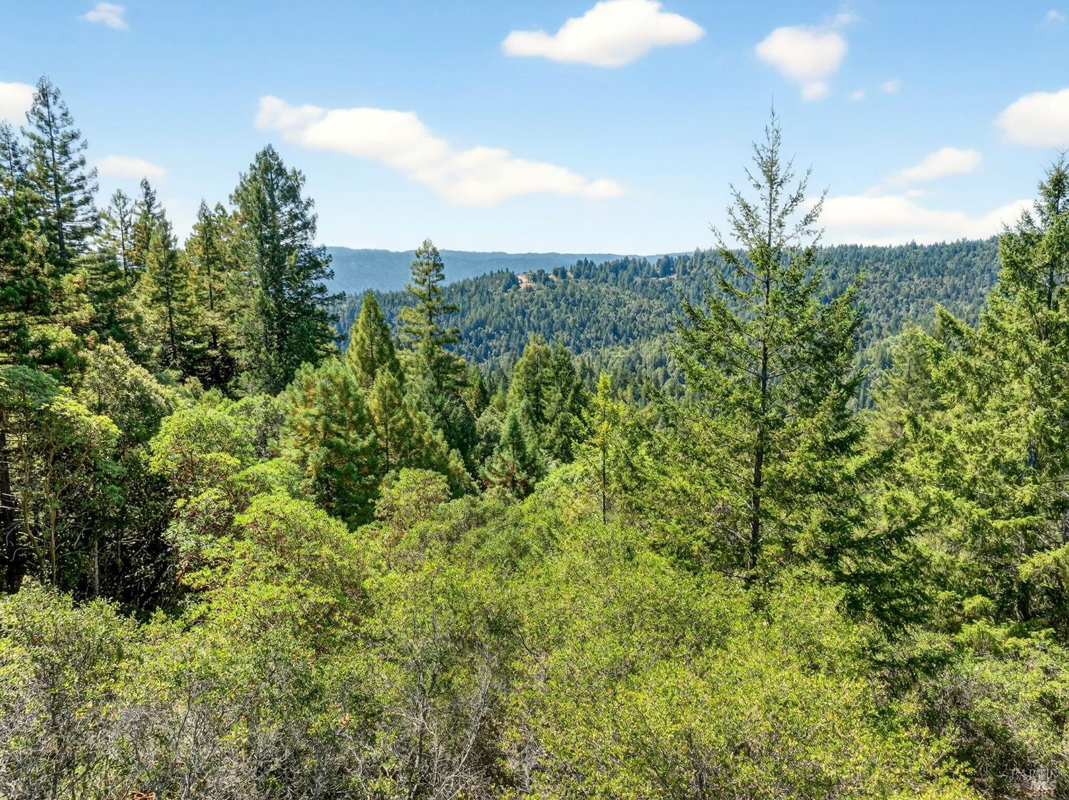 Detail Gallery Image 1 of 20 For 0 Moore Homestead Rd, Philo,  CA 95466 - – Beds | – Baths