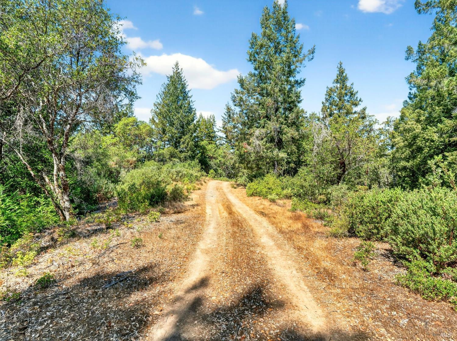 Detail Gallery Image 12 of 20 For 0 Moore Homestead Rd, Philo,  CA 95466 - – Beds | – Baths