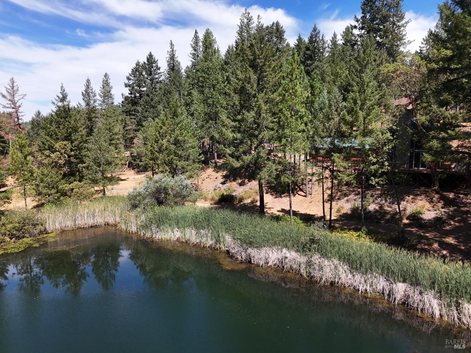 Detail Gallery Image 53 of 57 For 4101 Chinquapin Dr, Willits,  CA 95490 - 2 Beds | 2 Baths