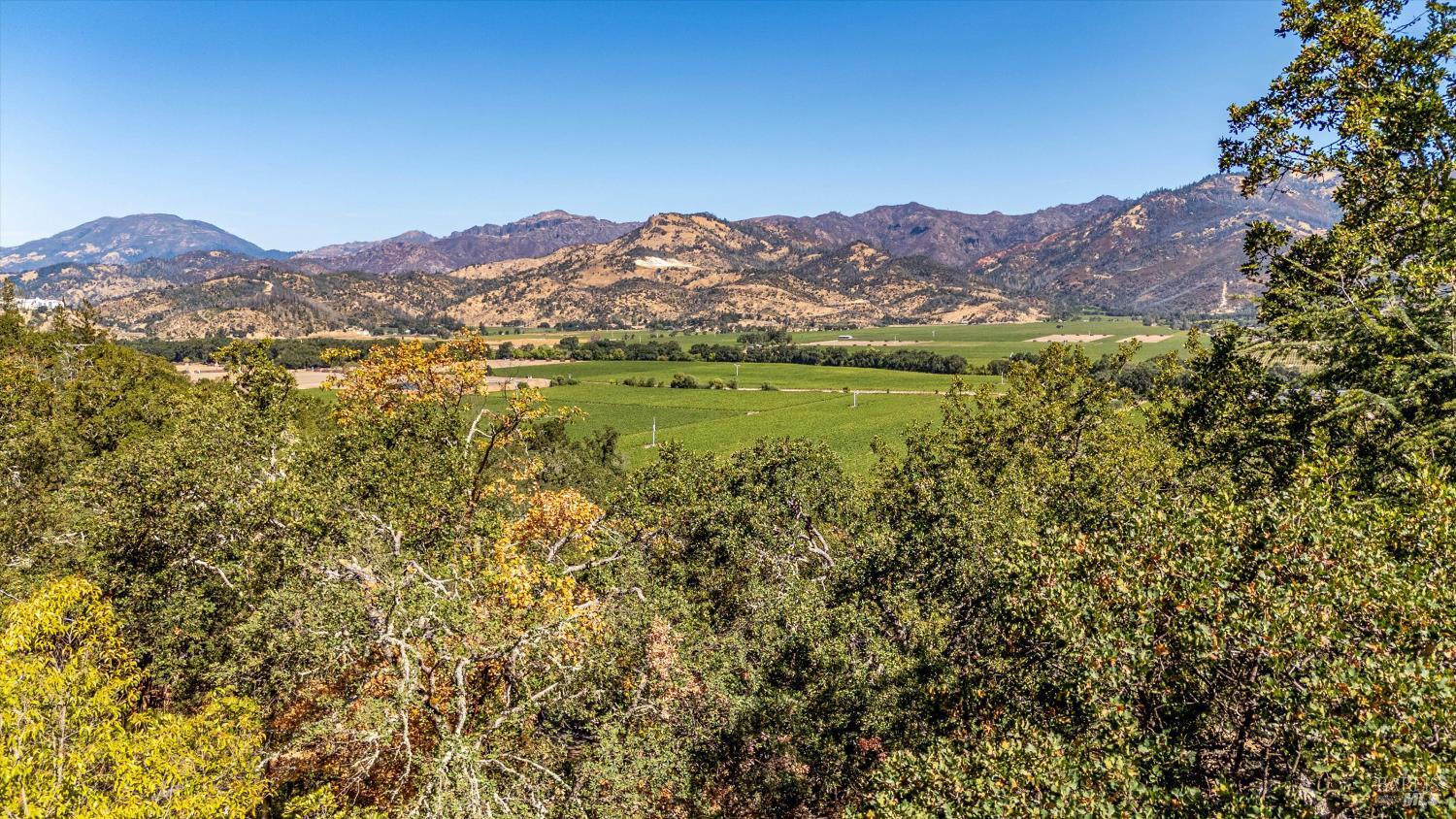 Detail Gallery Image 4 of 11 For 1253 Summit Dr, Calistoga,  CA 94515 - 3 Beds | 0 Baths