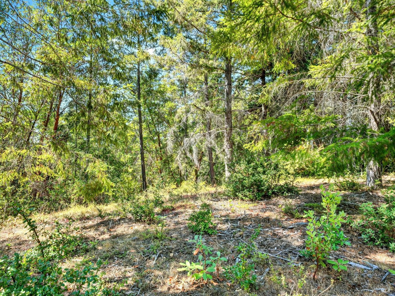 Detail Gallery Image 3 of 20 For 0 Moore Homestead Rd, Philo,  CA 95466 - – Beds | – Baths