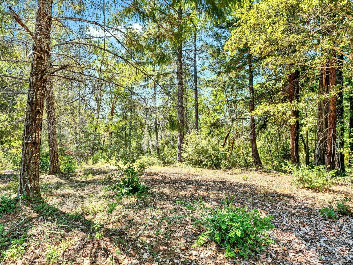 Detail Gallery Image 4 of 20 For 0 Moore Homestead Rd, Philo,  CA 95466 - – Beds | – Baths