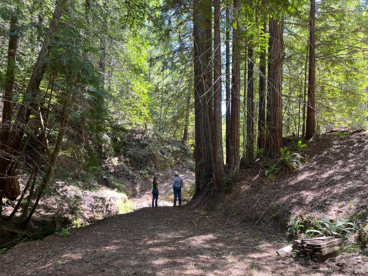 Detail Gallery Image 74 of 85 For 38555 Hauser Bridge Rd, Cazadero,  CA 95421 - 5 Beds | 2 Baths