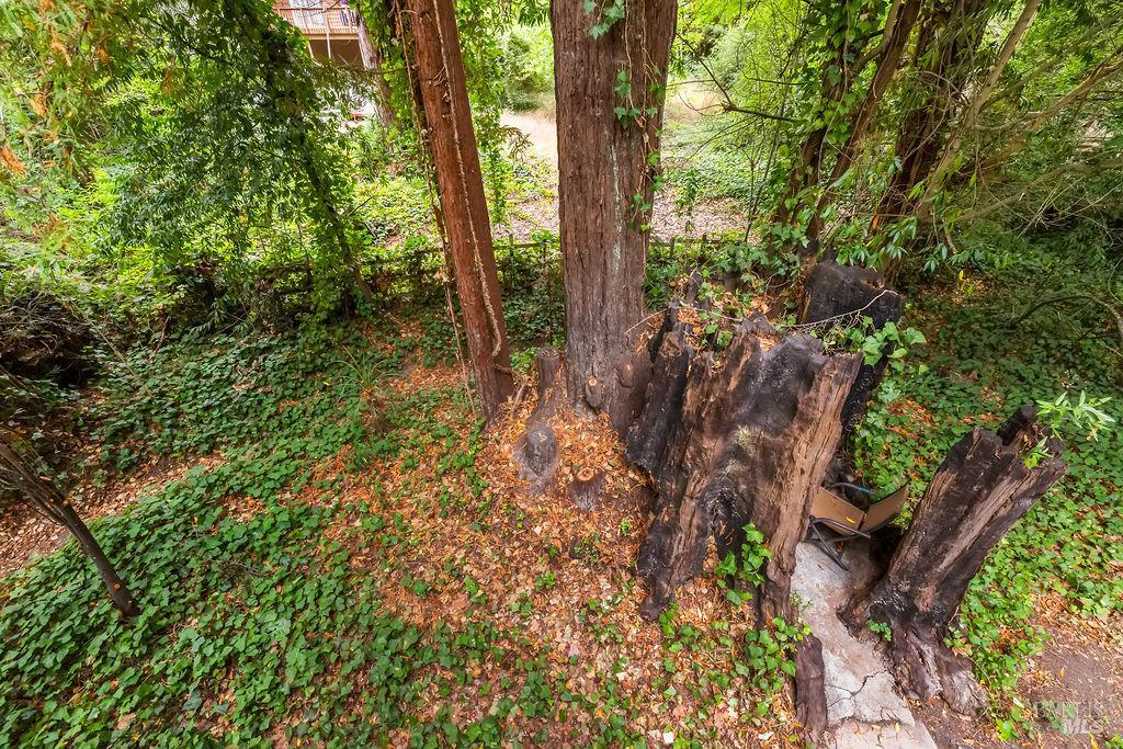 Detail Gallery Image 70 of 77 For 15990 Drake Rd, Guerneville,  CA 95446 - 1 Beds | 1 Baths