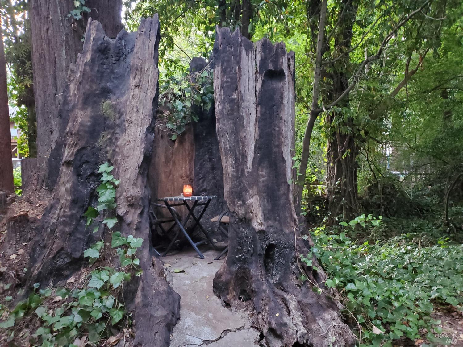 Detail Gallery Image 61 of 77 For 15990 Drake Rd, Guerneville,  CA 95446 - 1 Beds | 1 Baths