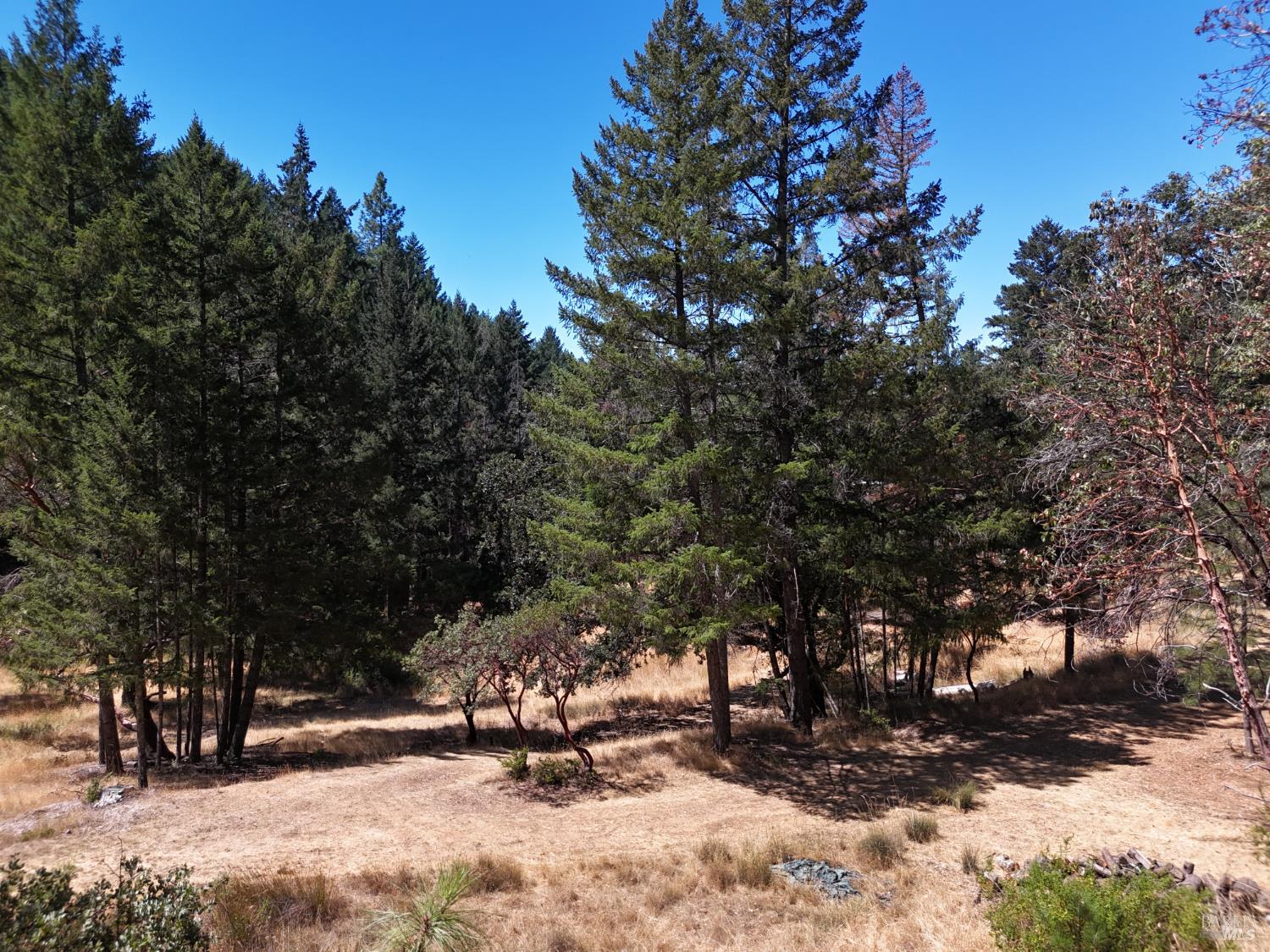 Detail Gallery Image 56 of 57 For 4101 Chinquapin Dr, Willits,  CA 95490 - 2 Beds | 2 Baths