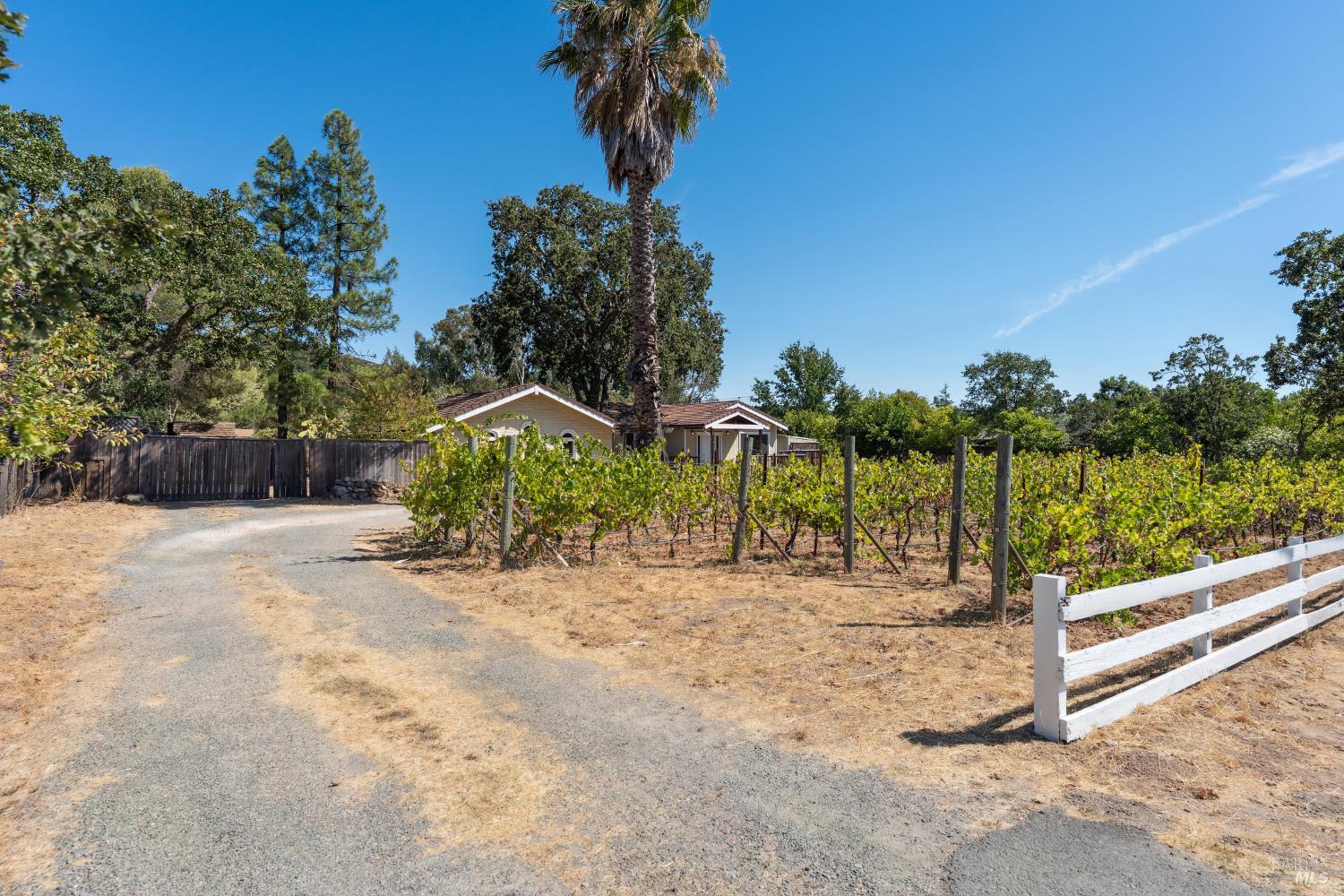 Detail Gallery Image 36 of 46 For 1795 Lovall Valley Rd, Sonoma,  CA 95476 - 3 Beds | 2 Baths