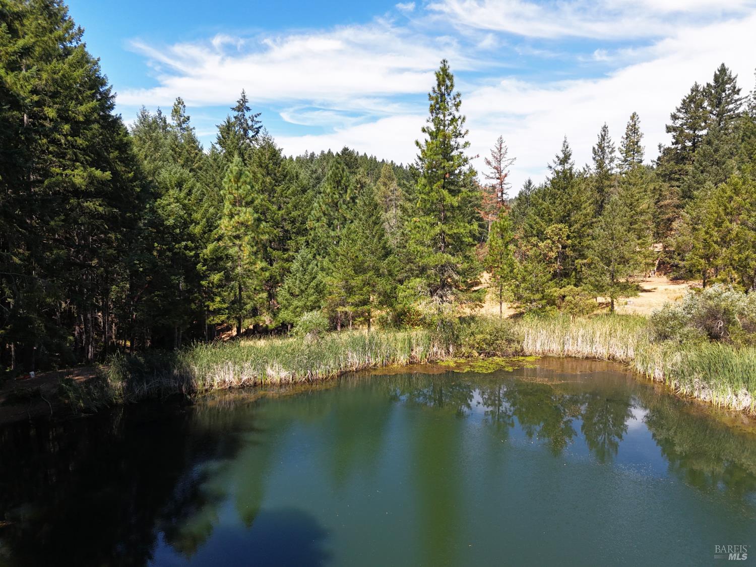 Detail Gallery Image 54 of 57 For 4101 Chinquapin Dr, Willits,  CA 95490 - 2 Beds | 2 Baths