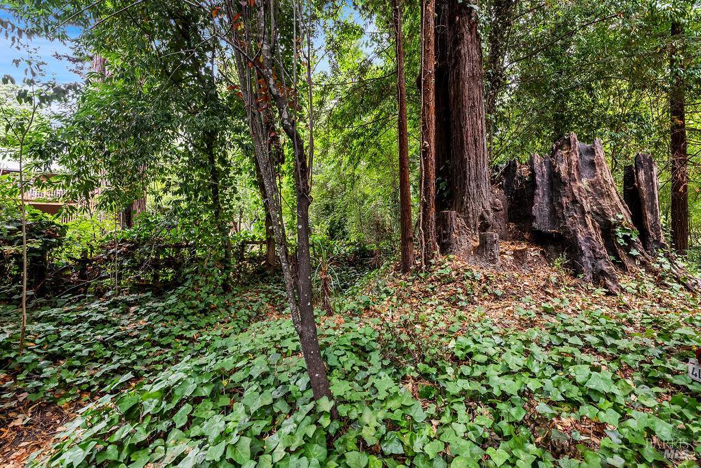 Detail Gallery Image 63 of 77 For 15990 Drake Rd, Guerneville,  CA 95446 - 1 Beds | 1 Baths