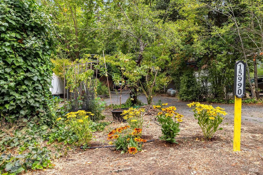 Detail Gallery Image 66 of 77 For 15990 Drake Rd, Guerneville,  CA 95446 - 1 Beds | 1 Baths