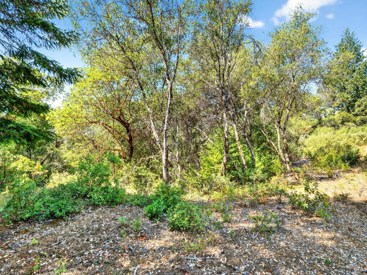 Detail Gallery Image 7 of 20 For 0 Moore Homestead Rd, Philo,  CA 95466 - – Beds | – Baths