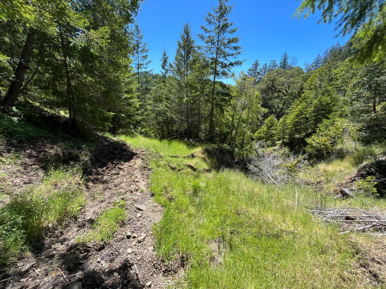 Detail Gallery Image 76 of 85 For 38555 Hauser Bridge Rd, Cazadero,  CA 95421 - 5 Beds | 2 Baths
