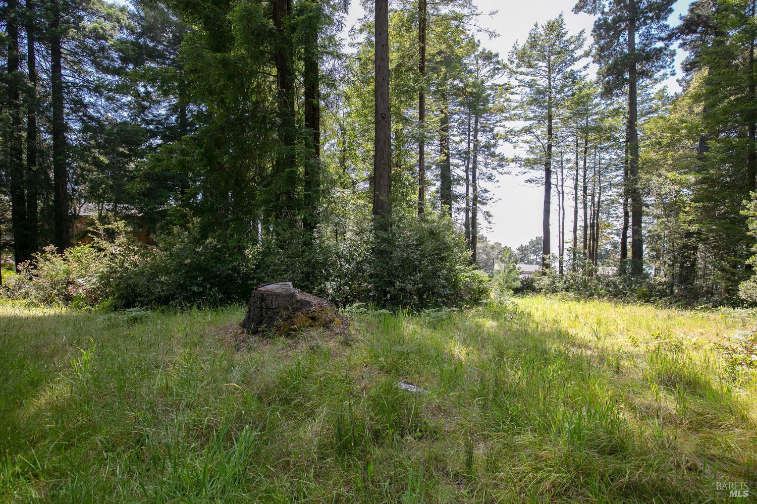 Detail Gallery Image 20 of 23 For 35261 Windsong Ln, The Sea Ranch,  CA 95497 - – Beds | – Baths