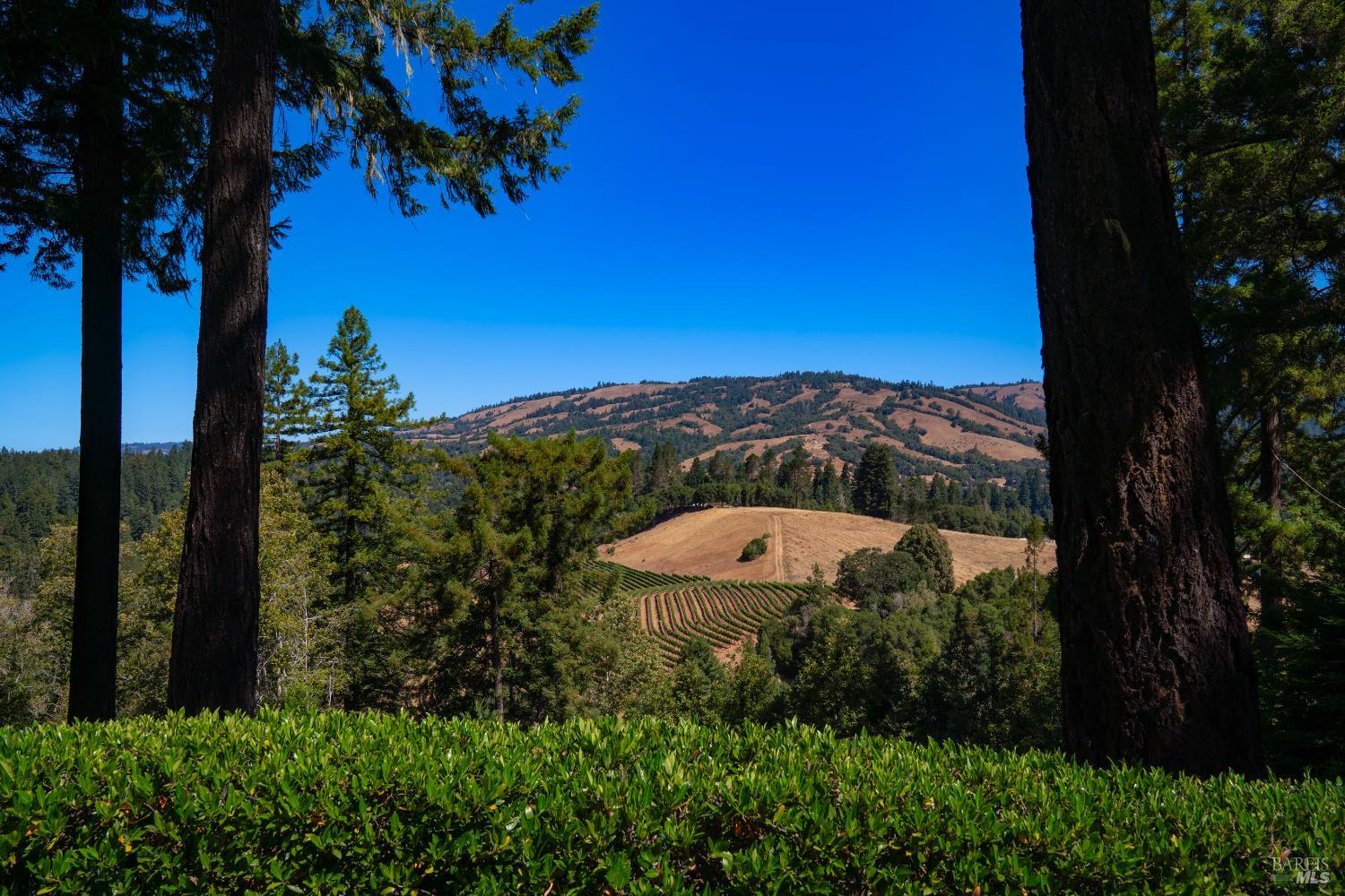 Detail Gallery Image 48 of 78 For 20205 Tumbling Mcd Rd, Philo,  CA 95466 - 4 Beds | 1/1 Baths