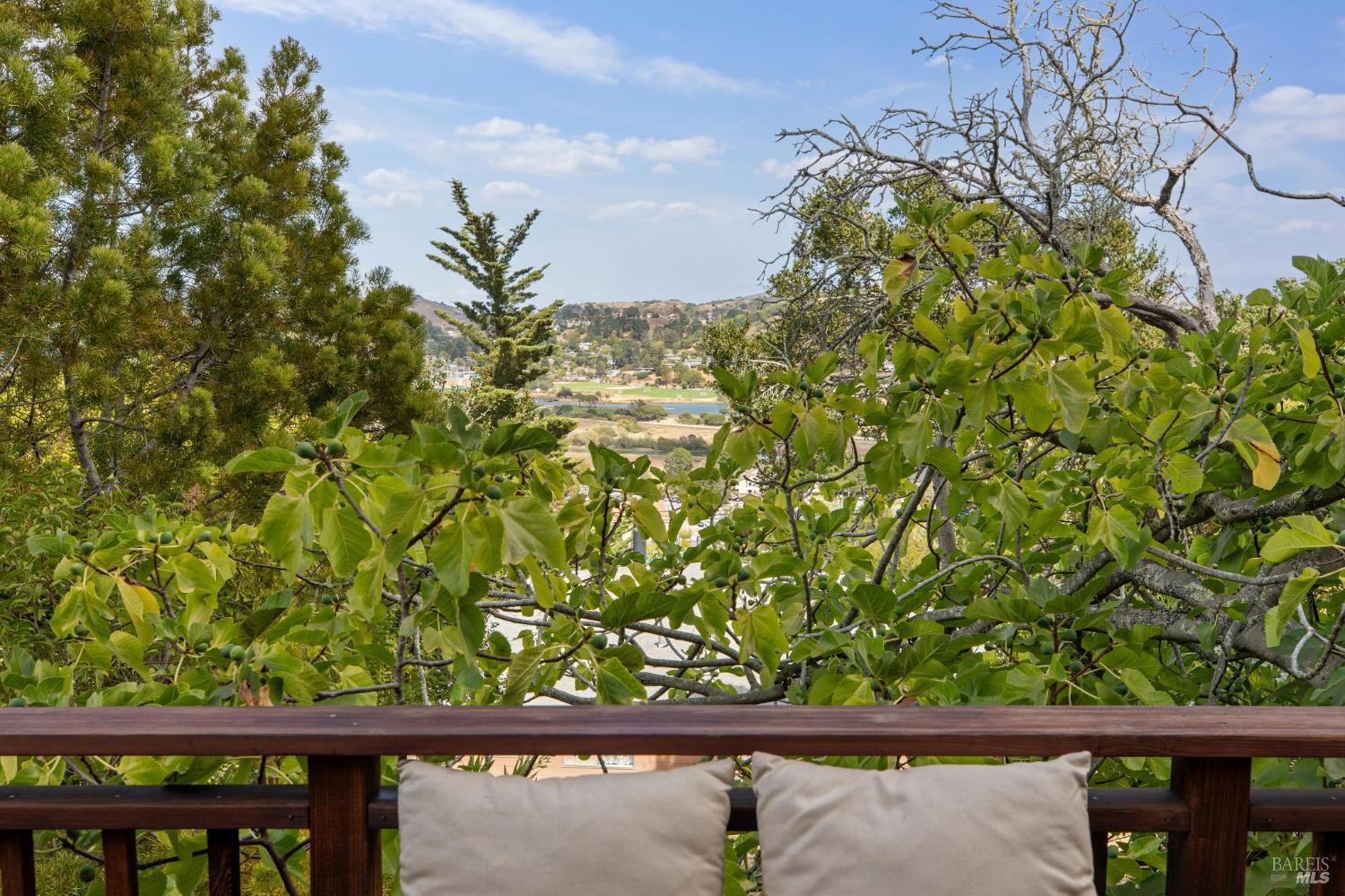 Detail Gallery Image 46 of 53 For 1 Carolyn Ln, Mill Valley,  CA 94941 - 4 Beds | 3 Baths