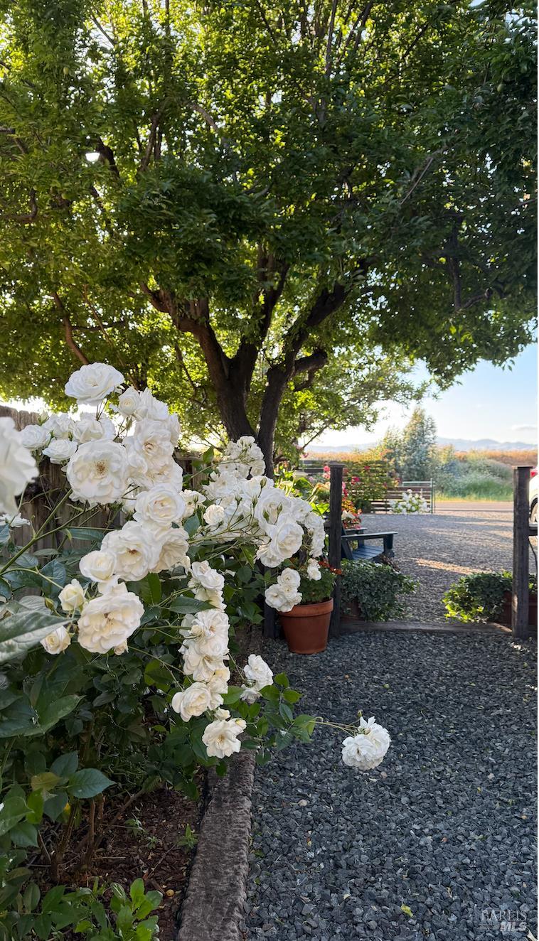 Detail Gallery Image 46 of 46 For 1576 Milton Rd, Napa,  CA 94559 - 3 Beds | 2 Baths