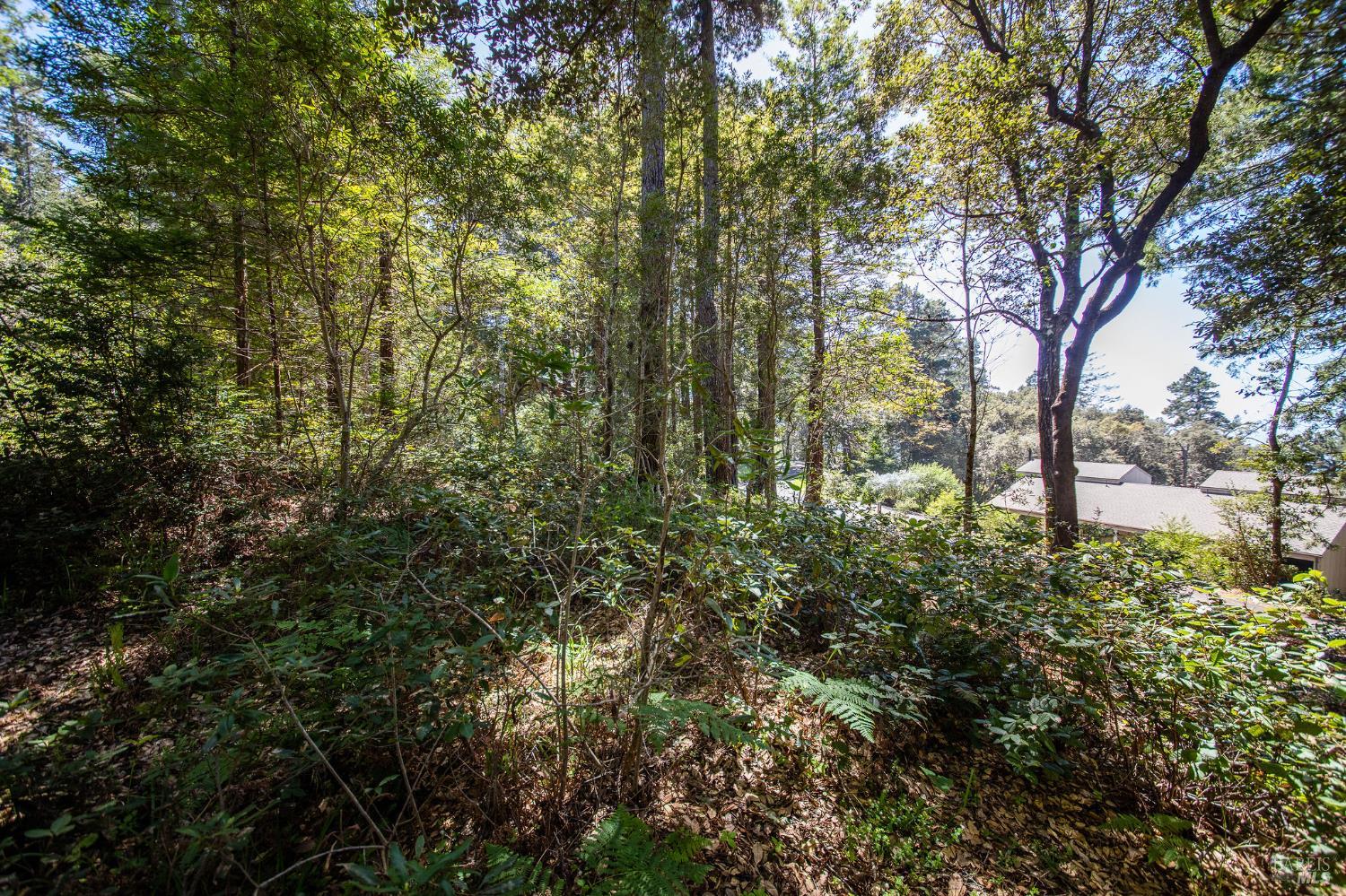 Detail Gallery Image 15 of 23 For 35261 Windsong Ln, The Sea Ranch,  CA 95497 - – Beds | – Baths