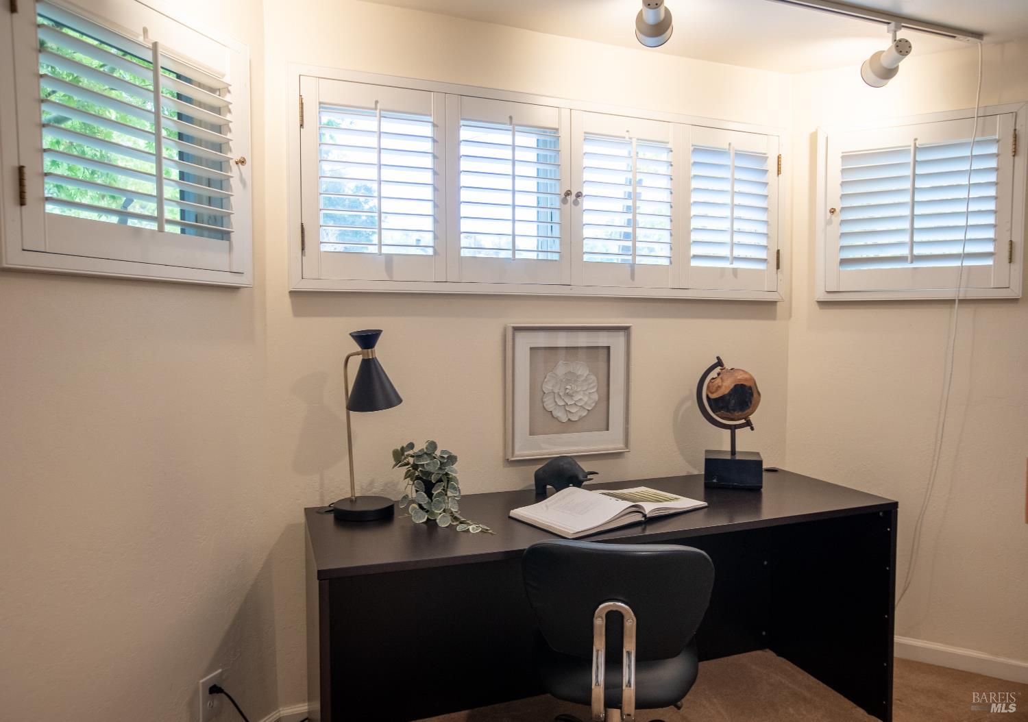 Detail Gallery Image 17 of 30 For 2 Alvina Ave, San Rafael,  CA 94901 - 3 Beds | 2/1 Baths