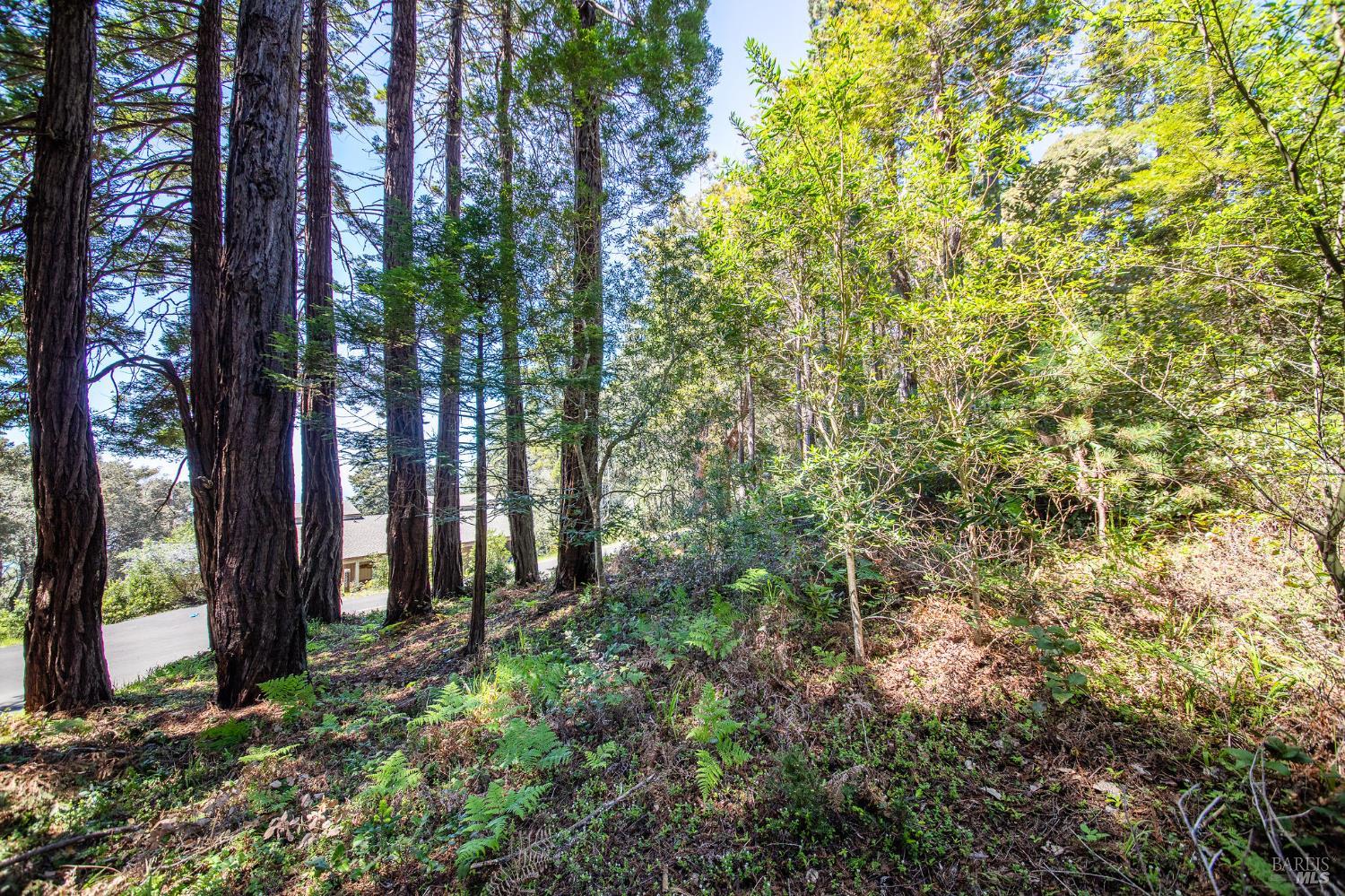 Detail Gallery Image 18 of 23 For 35261 Windsong Ln, The Sea Ranch,  CA 95497 - – Beds | – Baths