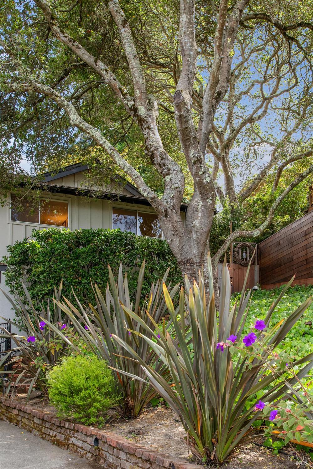 Detail Gallery Image 4 of 53 For 1 Carolyn Ln, Mill Valley,  CA 94941 - 4 Beds | 3 Baths