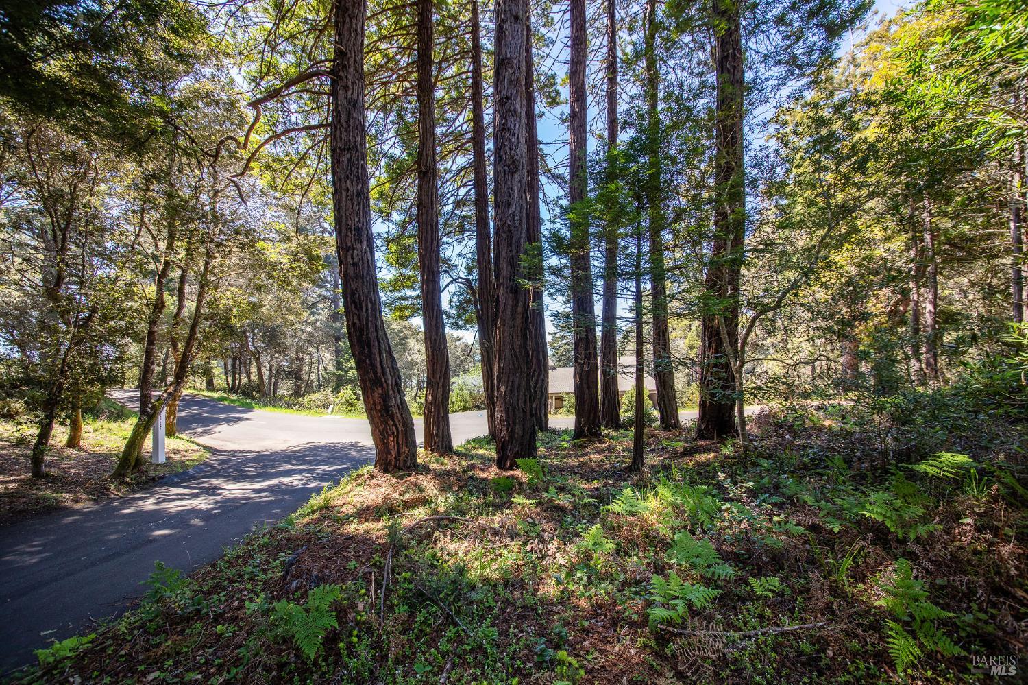Detail Gallery Image 19 of 23 For 35261 Windsong Ln, The Sea Ranch,  CA 95497 - – Beds | – Baths