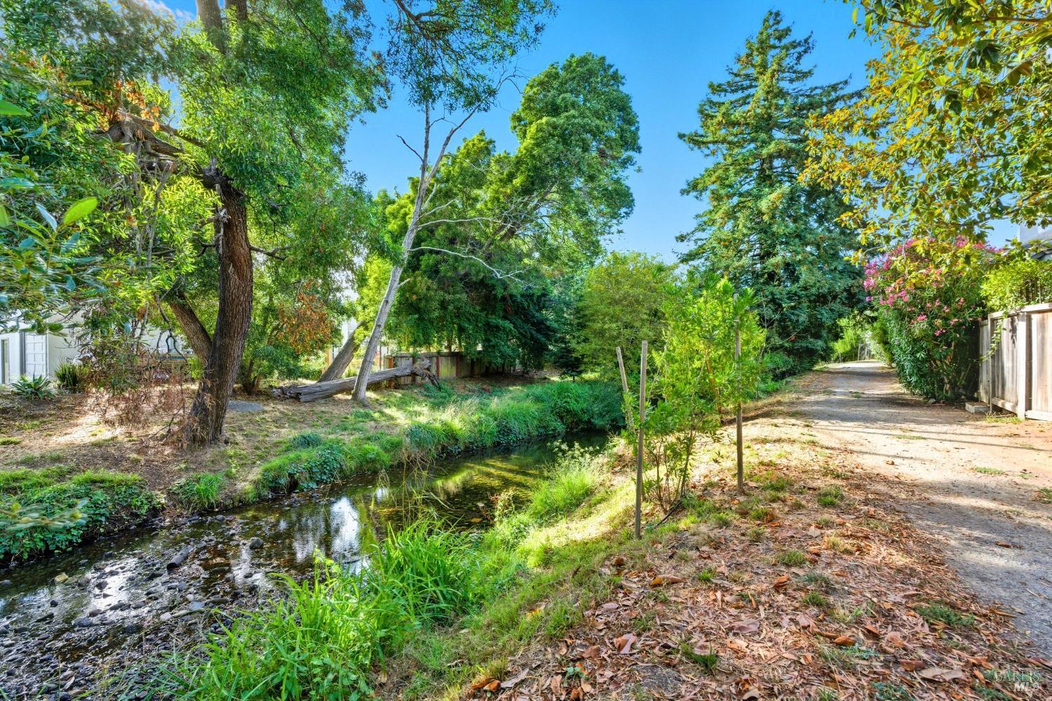 Detail Gallery Image 48 of 51 For 42 Park Ter, Mill Valley,  CA 94941 - 2 Beds | 2/1 Baths