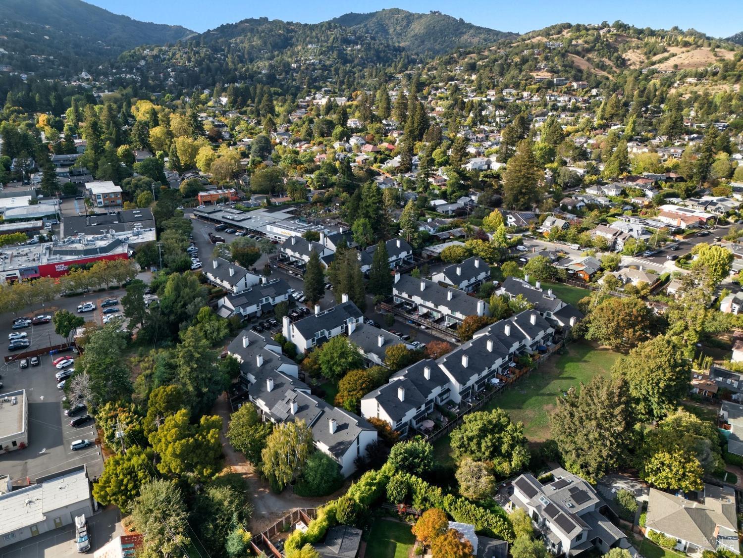 Detail Gallery Image 49 of 51 For 42 Park Ter, Mill Valley,  CA 94941 - 2 Beds | 2/1 Baths