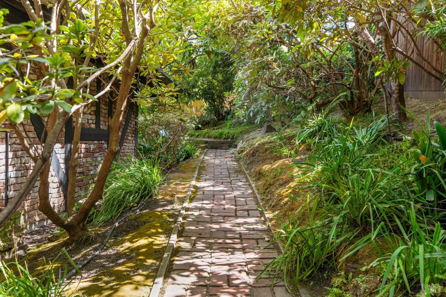 Detail Gallery Image 9 of 53 For 1 Carolyn Ln, Mill Valley,  CA 94941 - 4 Beds | 3 Baths