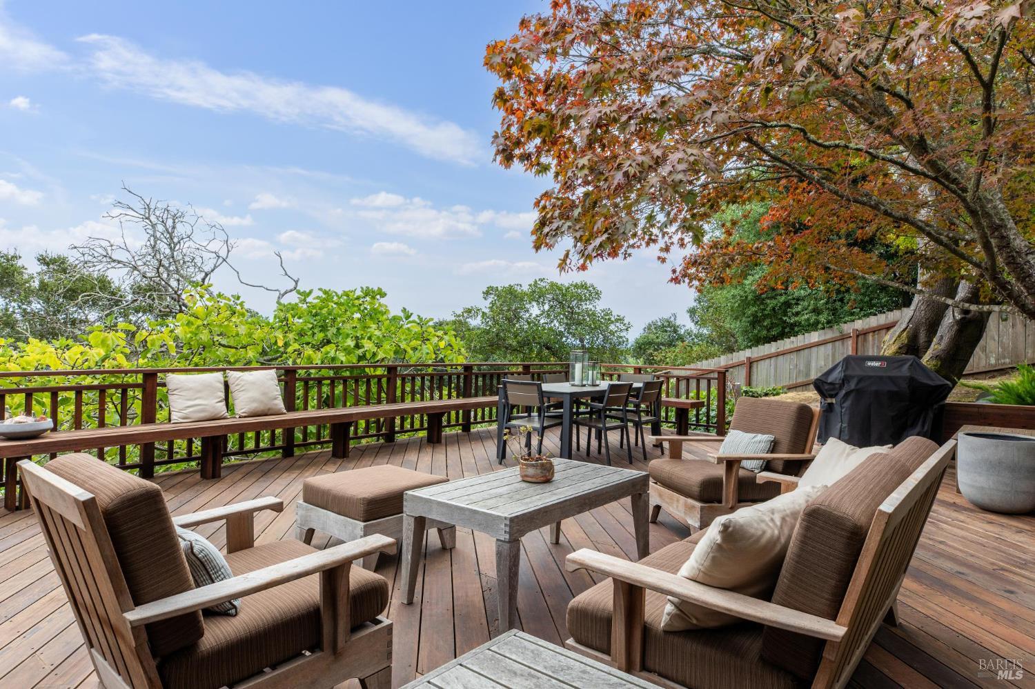 Detail Gallery Image 39 of 53 For 1 Carolyn Ln, Mill Valley,  CA 94941 - 4 Beds | 3 Baths
