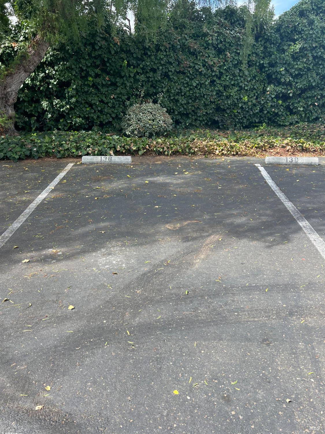 Detail Gallery Image 32 of 33 For 900 Southampton Rd #138,  Benicia,  CA 94510 - 1 Beds | 1 Baths