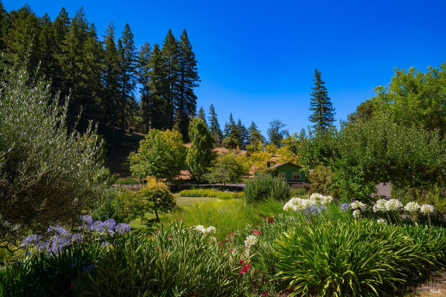Detail Gallery Image 31 of 78 For 20205 Tumbling Mcd Rd, Philo,  CA 95466 - 4 Beds | 1/1 Baths