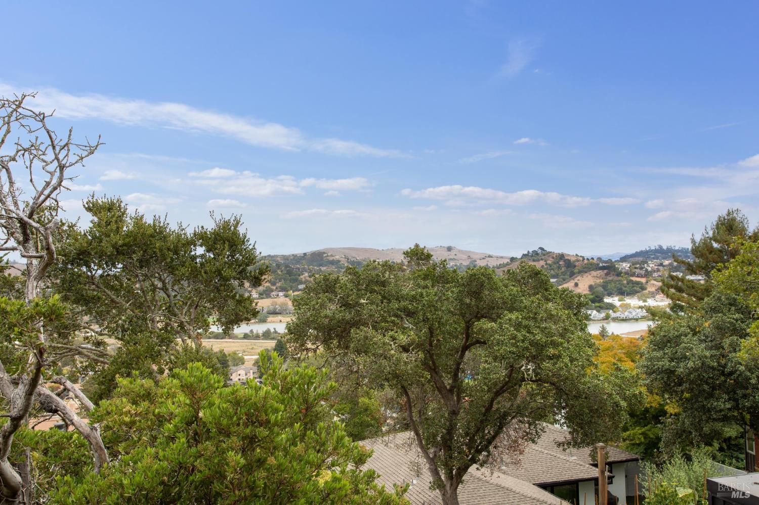 Detail Gallery Image 47 of 53 For 1 Carolyn Ln, Mill Valley,  CA 94941 - 4 Beds | 3 Baths