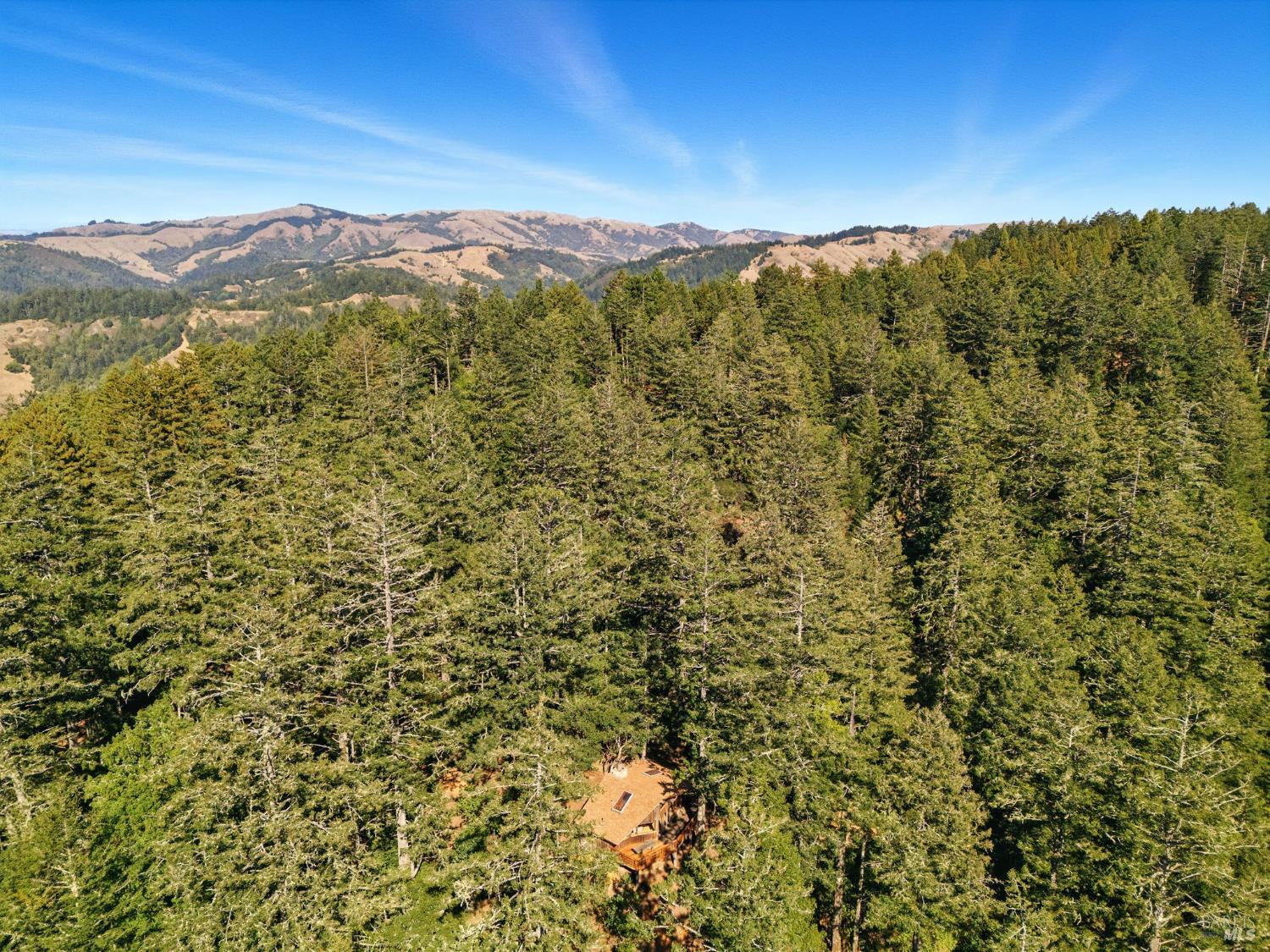Detail Gallery Image 36 of 37 For 175 Portola Ave, Lagunitas,  CA 94938 - 1 Beds | 1 Baths