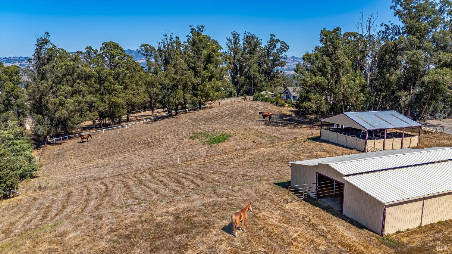 Detail Gallery Image 7 of 87 For 411 Highland Ave, Penngrove,  CA 94951 - – Beds | – Baths