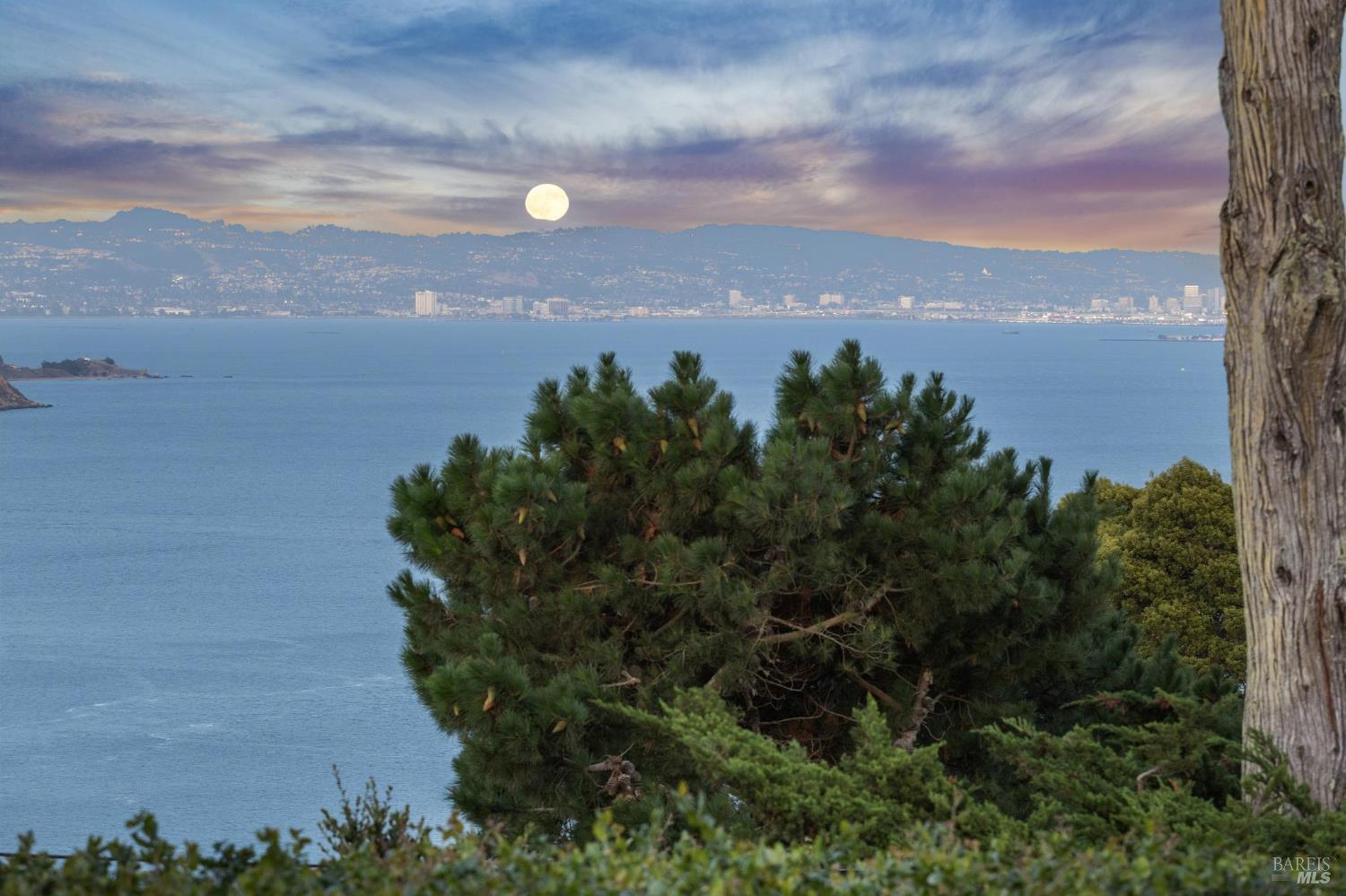 Detail Gallery Image 64 of 66 For 15 Prospect Ave, Sausalito,  CA 94965 - 3 Beds | 3/2 Baths