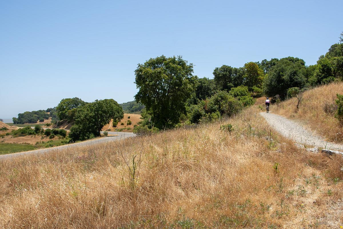 Detail Gallery Image 40 of 50 For 121 San Marino Dr, San Rafael,  CA 94901 - 3 Beds | 2 Baths