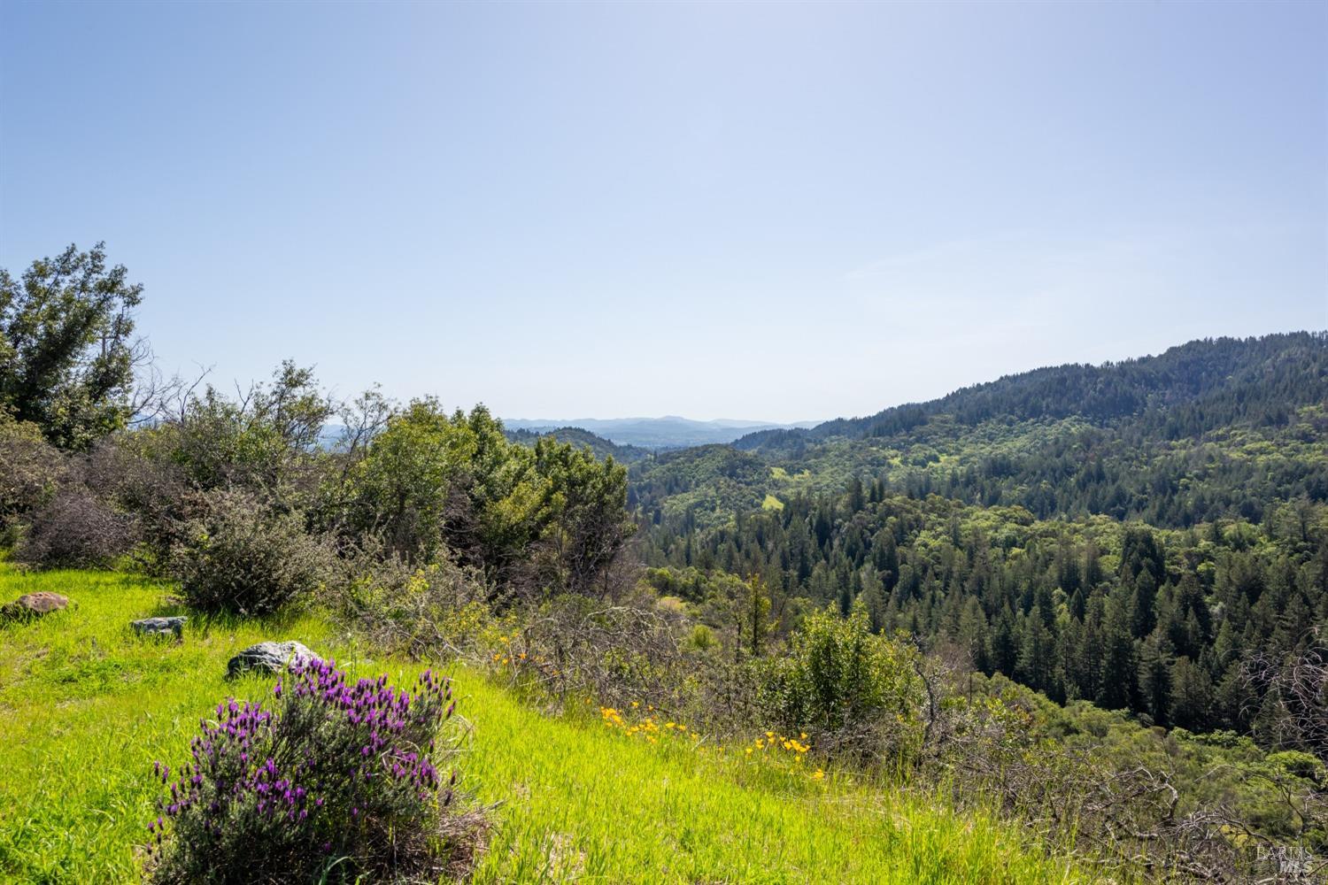 Detail Gallery Image 56 of 64 For 5750 Chemise Rd, Healdsburg,  CA 95448 - – Beds | – Baths