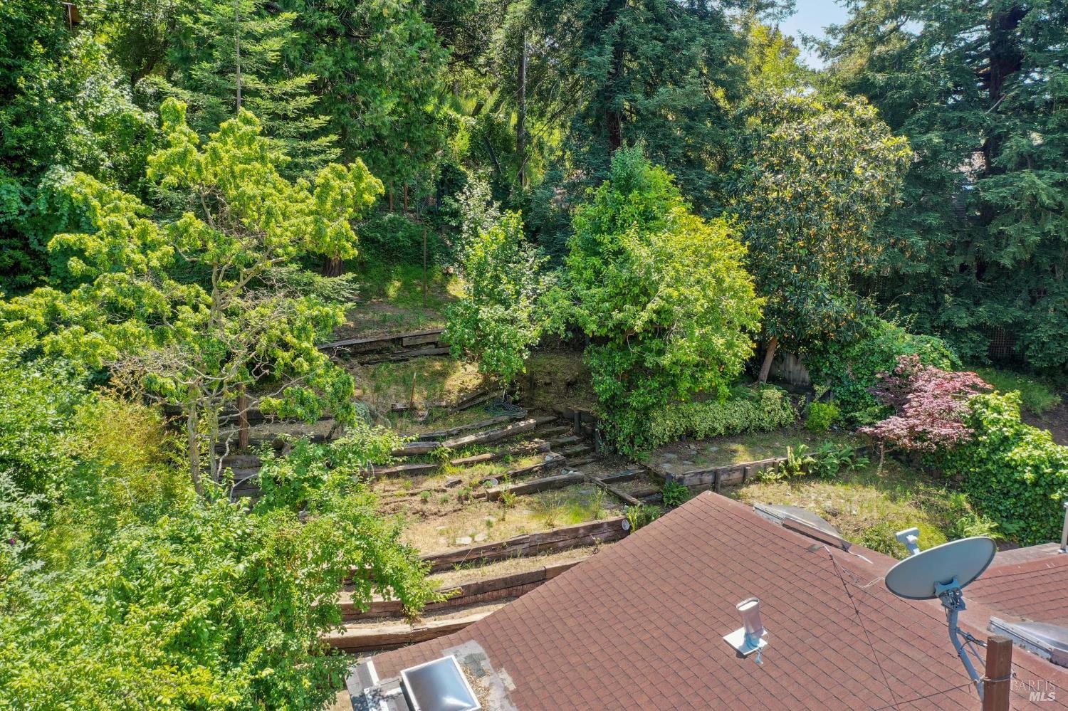 Detail Gallery Image 6 of 69 For 381 Forrest Ave, Fairfax,  CA 94930 - 2 Beds | 1/1 Baths