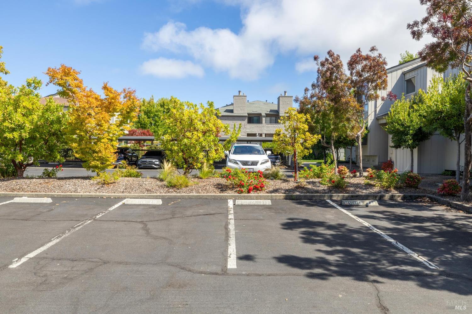 Detail Gallery Image 38 of 40 For 54 Sandpiper Cir, Corte Madera,  CA 94925 - 3 Beds | 2/1 Baths