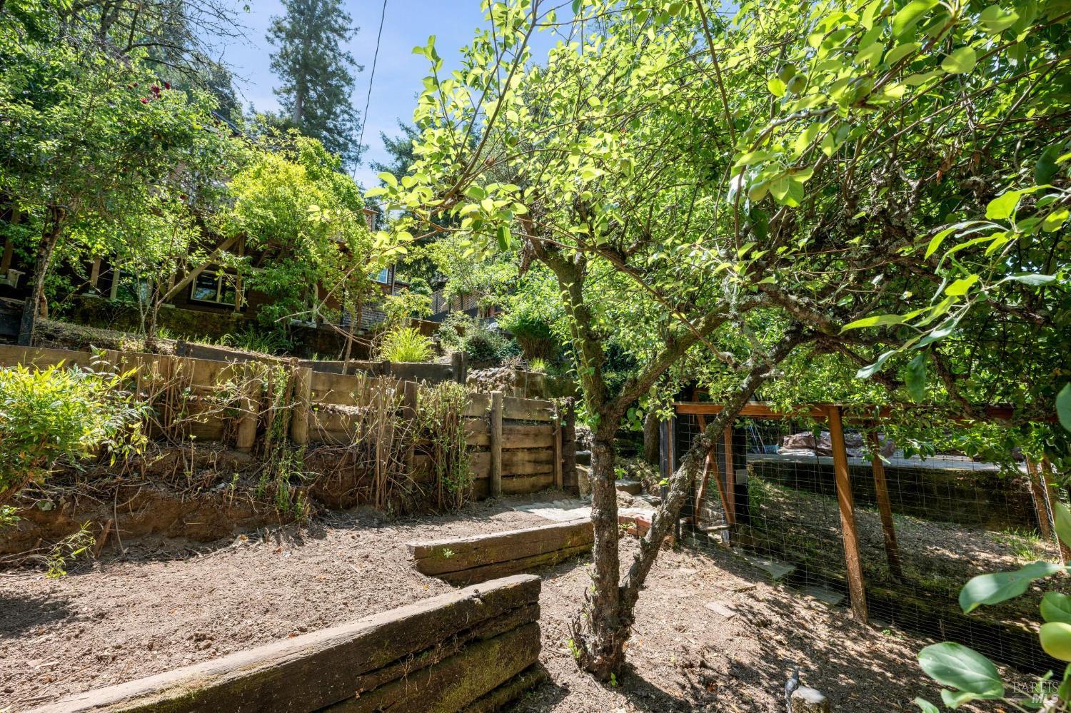 Detail Gallery Image 15 of 69 For 381 Forrest Ave, Fairfax,  CA 94930 - 2 Beds | 1/1 Baths