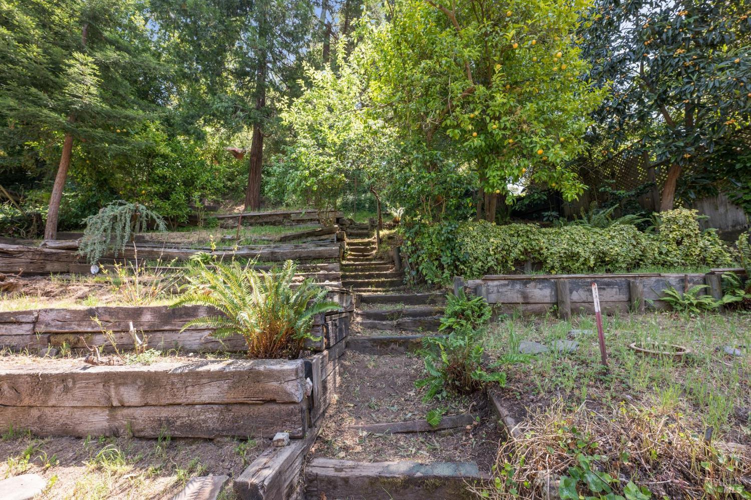 Detail Gallery Image 62 of 69 For 381 Forrest Ave, Fairfax,  CA 94930 - 2 Beds | 1/1 Baths