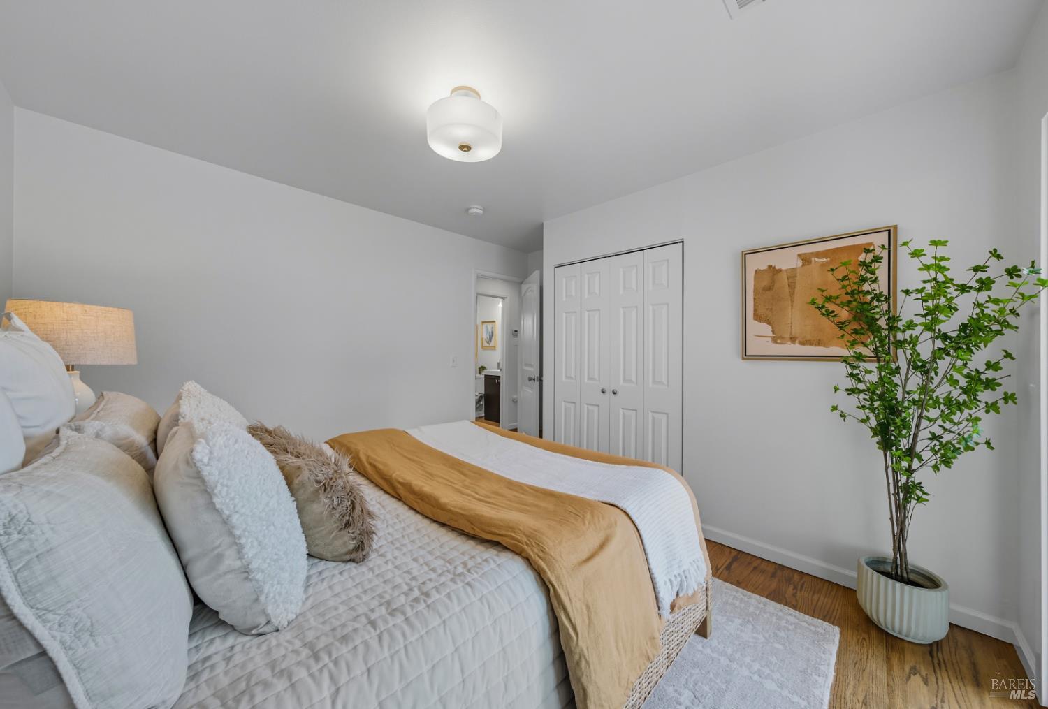 Detail Gallery Image 13 of 23 For 637 Saint Francis Dr, Petaluma,  CA 94954 - 3 Beds | 1 Baths