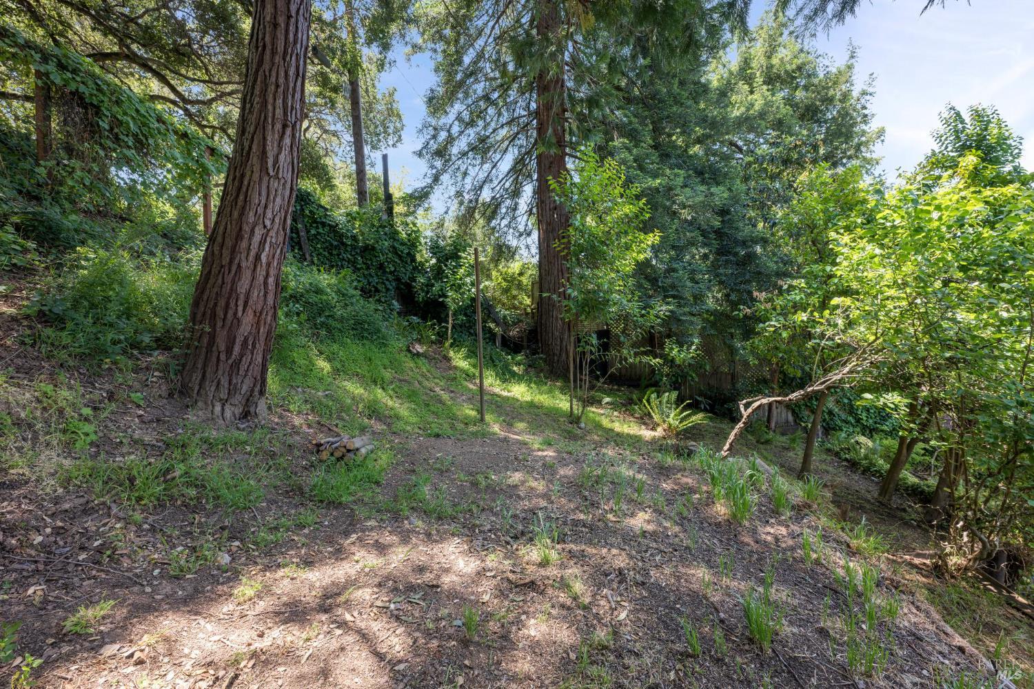 Detail Gallery Image 66 of 69 For 381 Forrest Ave, Fairfax,  CA 94930 - 2 Beds | 1/1 Baths