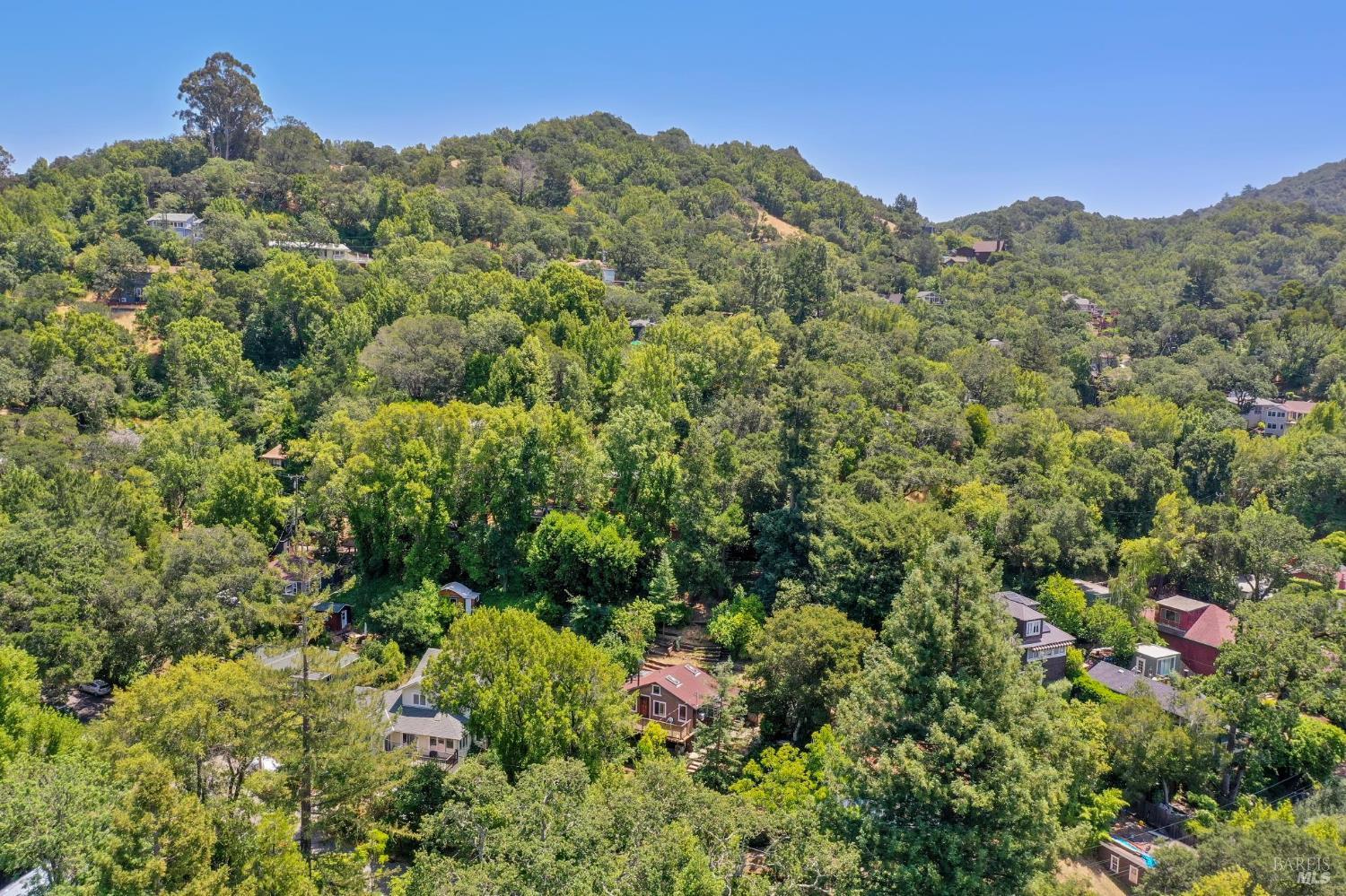 Detail Gallery Image 5 of 69 For 381 Forrest Ave, Fairfax,  CA 94930 - 2 Beds | 1/1 Baths