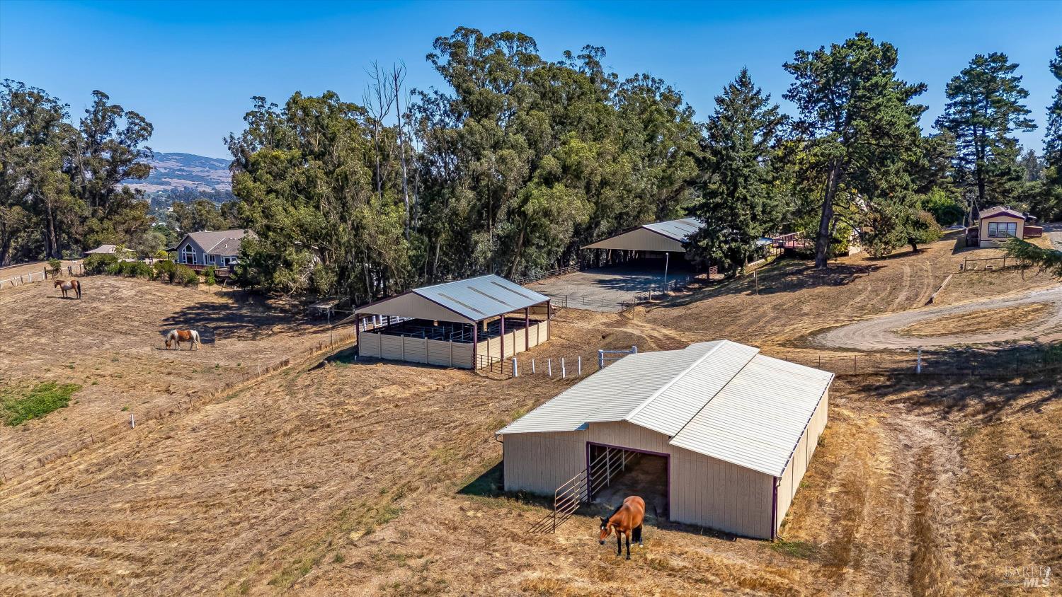 Detail Gallery Image 5 of 87 For 411 Highland Ave, Penngrove,  CA 94951 - – Beds | – Baths