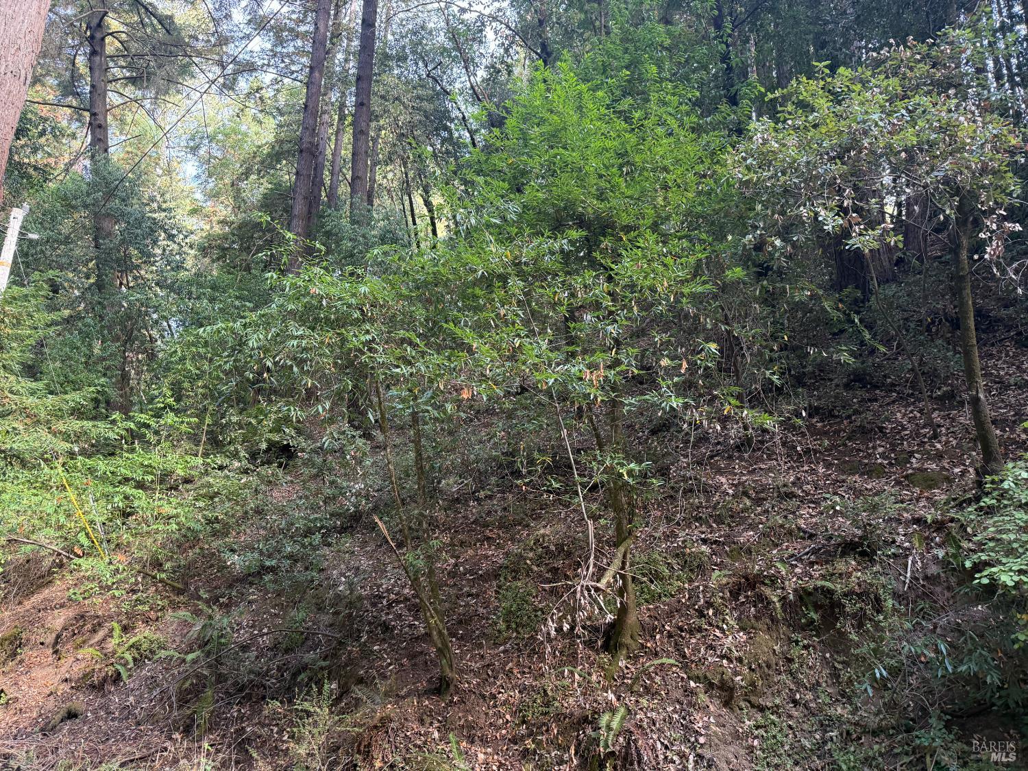 Detail Gallery Image 2 of 5 For 11714 Canyon Dr, Guerneville,  CA 95446 - – Beds | – Baths