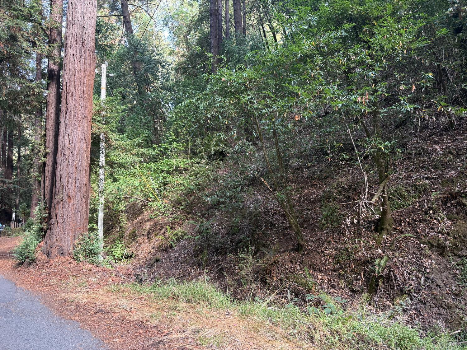 Detail Gallery Image 4 of 5 For 11714 Canyon Dr, Guerneville,  CA 95446 - – Beds | – Baths