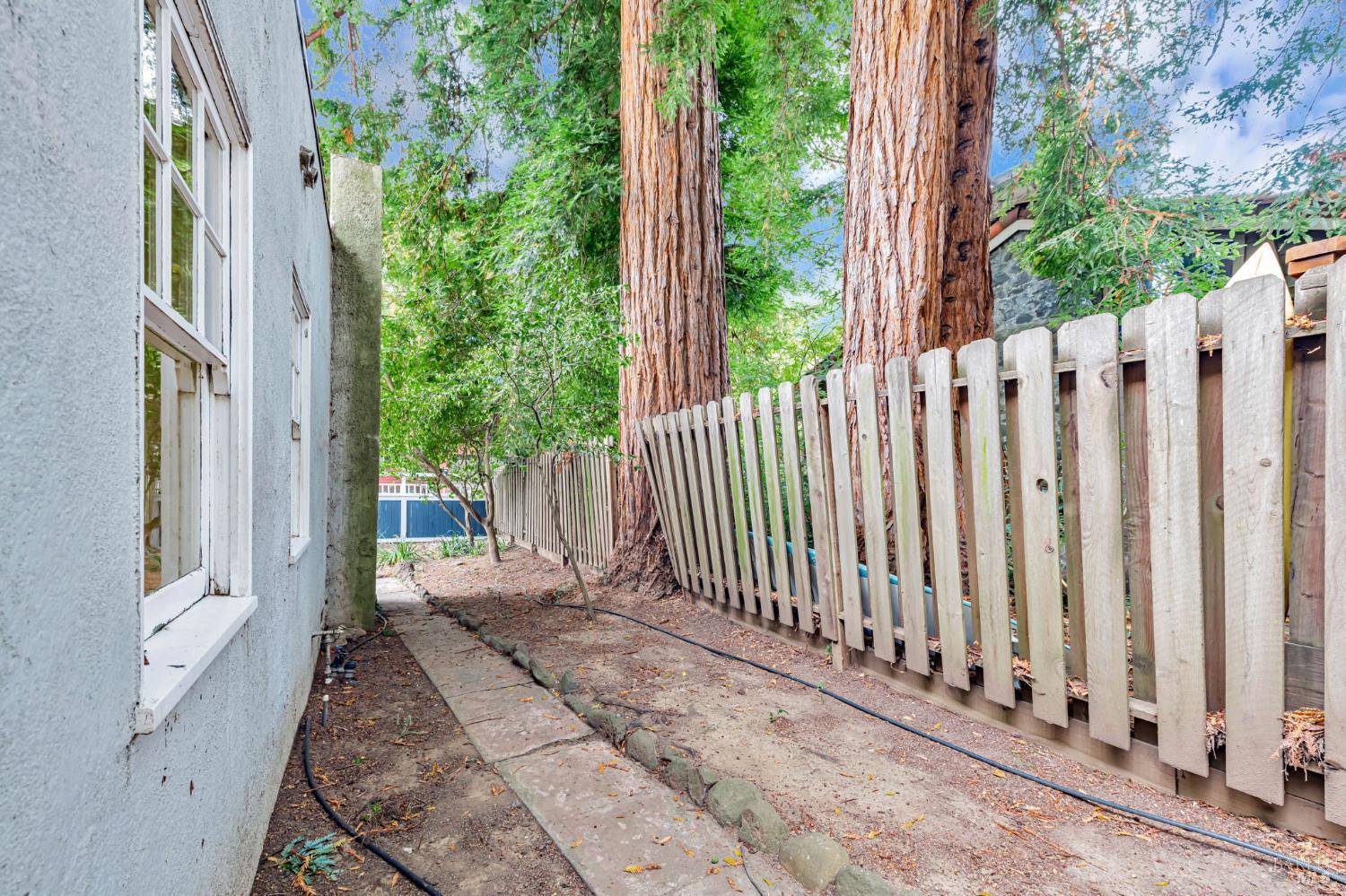 Detail Gallery Image 47 of 50 For 174 Bothin Rd, Fairfax,  CA 94930 - 4 Beds | 3 Baths