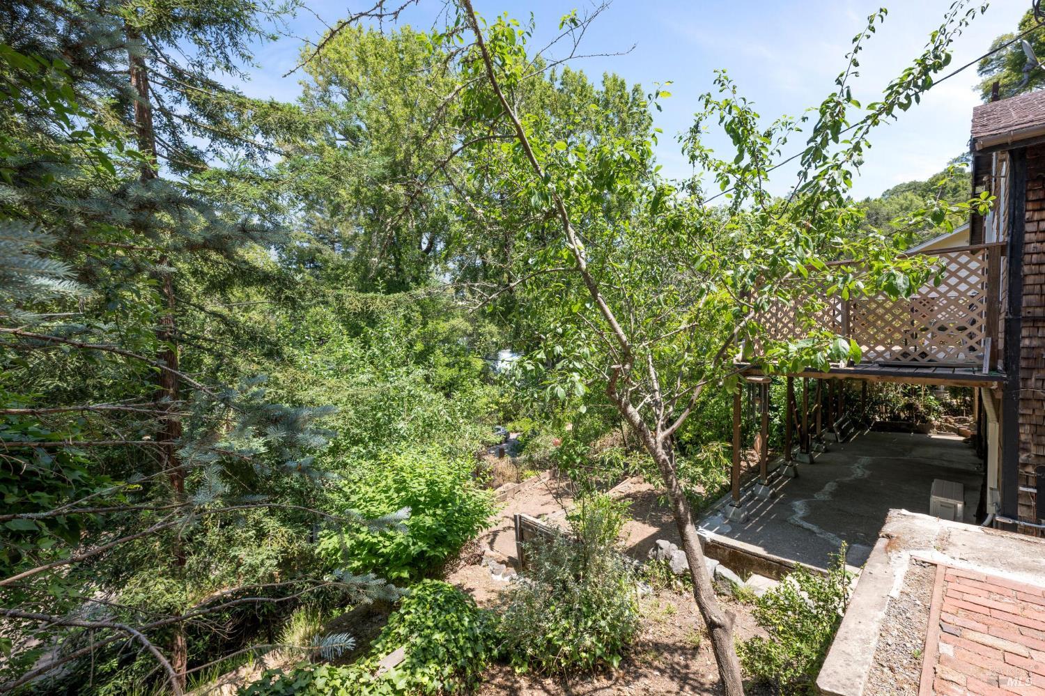 Detail Gallery Image 20 of 69 For 381 Forrest Ave, Fairfax,  CA 94930 - 2 Beds | 1/1 Baths